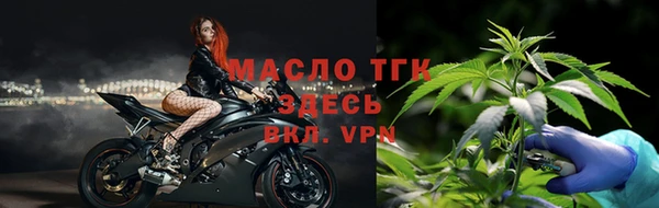 шишки Абаза