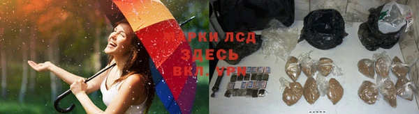 apvp Надым