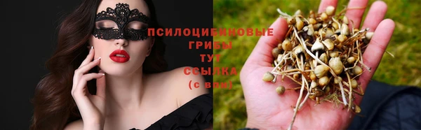соль ск Абдулино