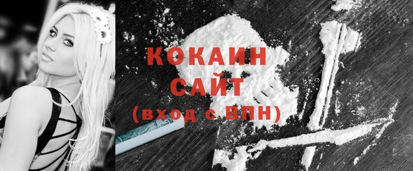 шишки Абаза