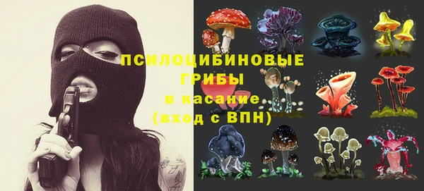 соль ск Абдулино